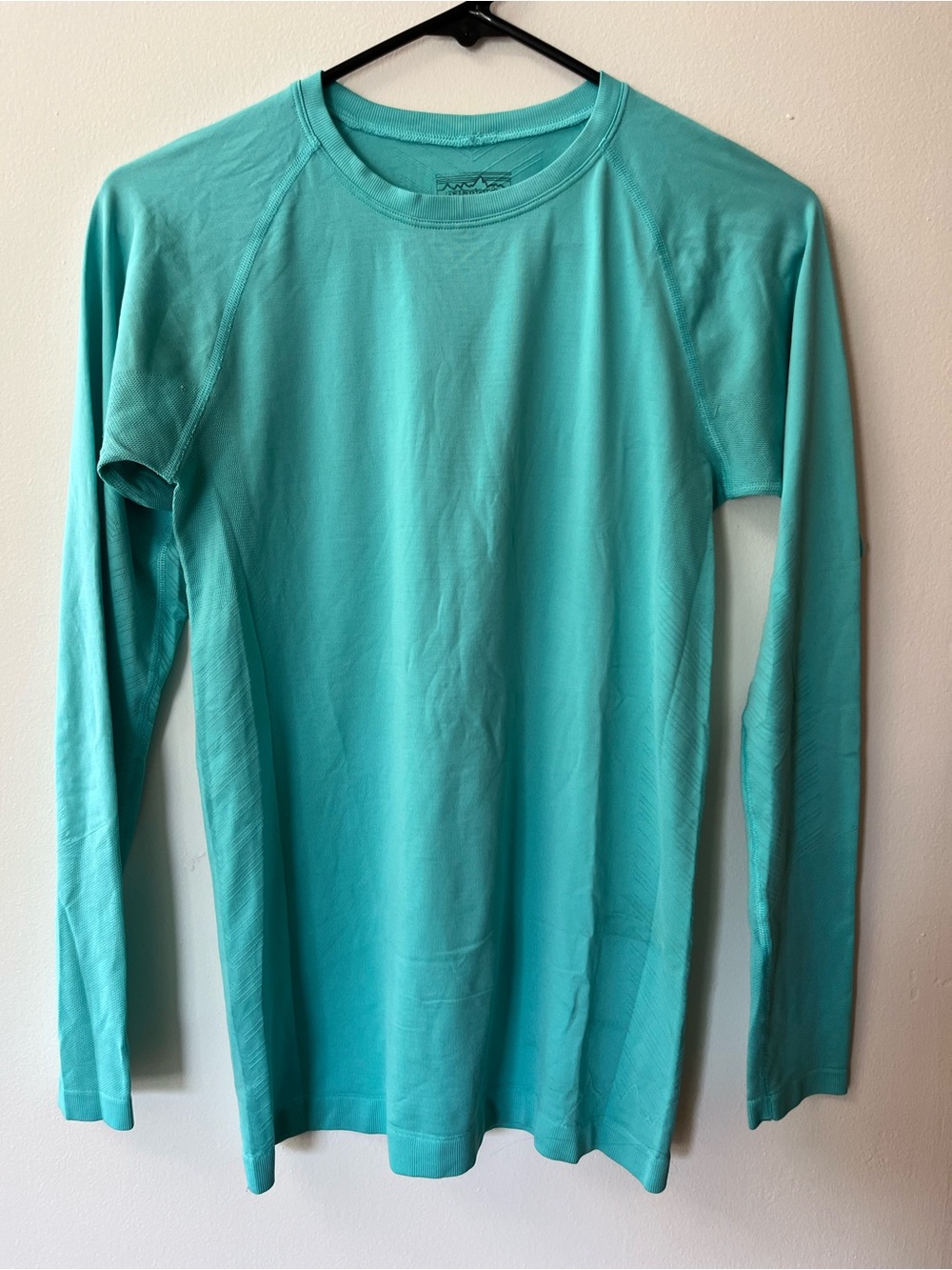 Patagonia Long Sleeve Blue Shirt